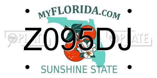 Z095DJ Florida License Plate