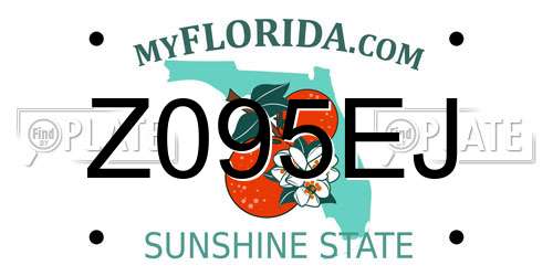 Z095EJ Florida License Plate