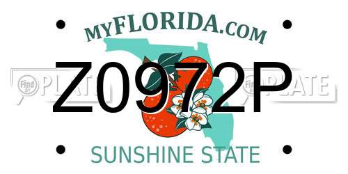 Z0972P Florida License Plate