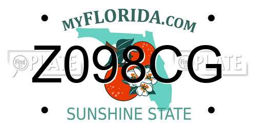 Z098CG Florida License Plate