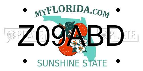 Z09ABD Florida License Plate