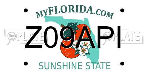 Z09API Florida License Plate