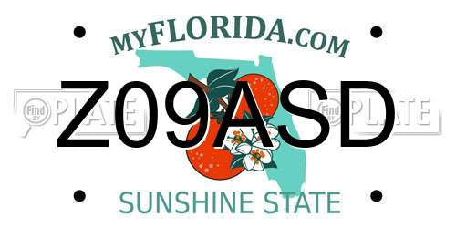 Z09ASD Florida License Plate