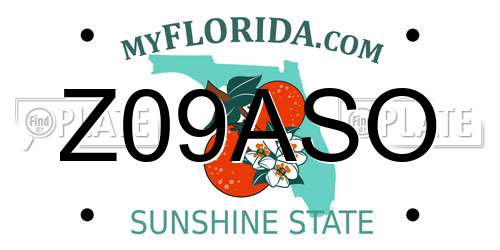 Z09ASO Florida License Plate