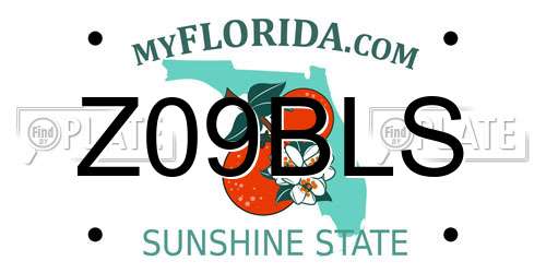 Z09BLS Florida License Plate