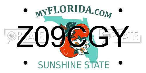 Z09CGY Florida License Plate