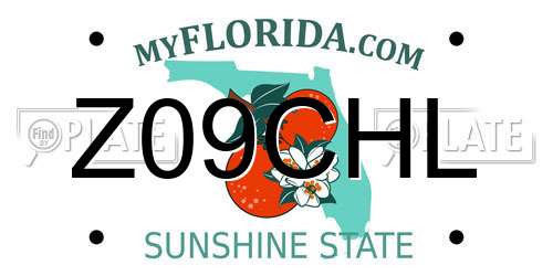 Z09CHL Florida License Plate