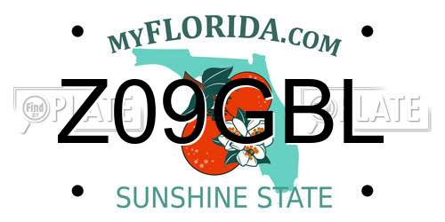 Z09GBL Florida License Plate