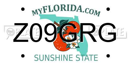 Z09GRG Florida License Plate