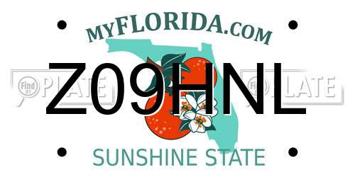 Z09HNL Florida License Plate