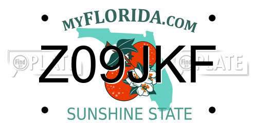 Z09JKF Florida License Plate