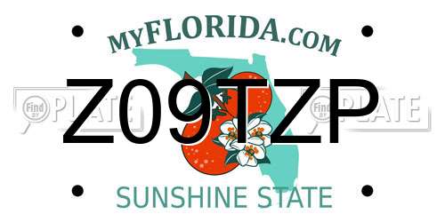 Z09TZP Florida License Plate