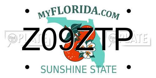 Z09ZTP Florida License Plate