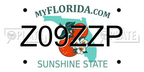 Z09ZZP Florida License Plate