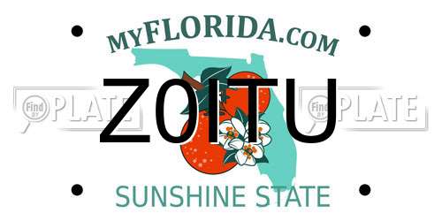 Z0ITU Florida License Plate
