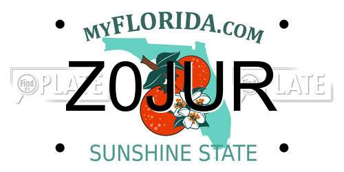 Z0JUR Florida License Plate
