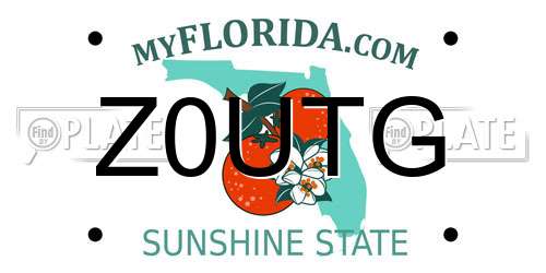 Z0UTG Florida License Plate