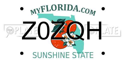 Z0ZQH Florida License Plate