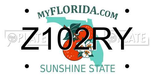 Z102RY Florida License Plate