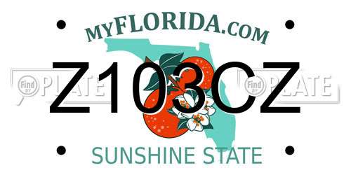 Z103CZ Florida License Plate