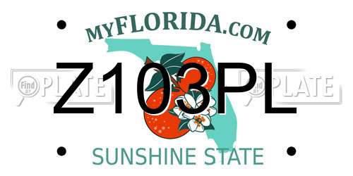 Z103PL Florida License Plate