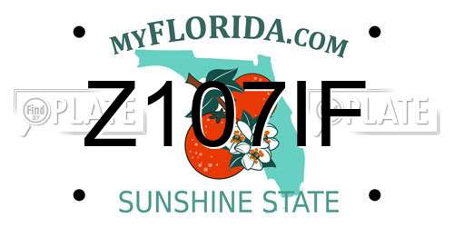 Z107IF Florida License Plate