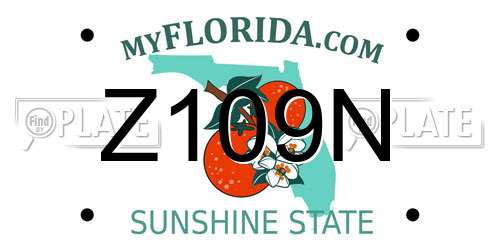 Z109N Florida License Plate