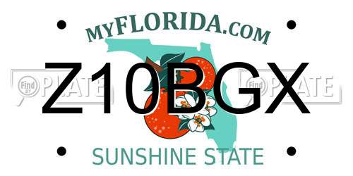 Z10BGX Florida License Plate
