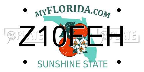 Z10FEH Florida License Plate