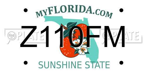 Z110FM Florida License Plate