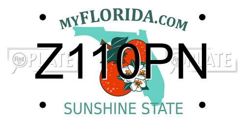 Z110PN Florida License Plate