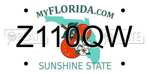 Z110QW Florida License Plate