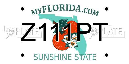 Z111PT Florida License Plate