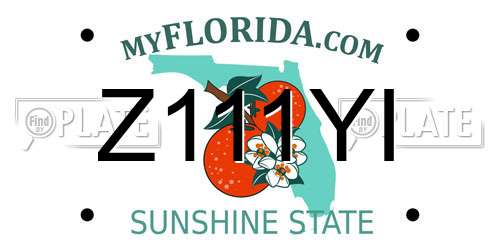 Z111YI Florida License Plate