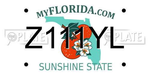 Z111YL Florida License Plate