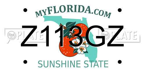 Z113GZ Florida License Plate