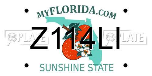 Z114LI Florida License Plate