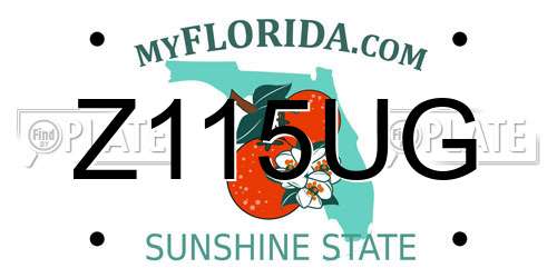 Z115UG Florida License Plate