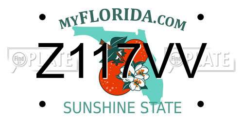 Z117VV Florida License Plate