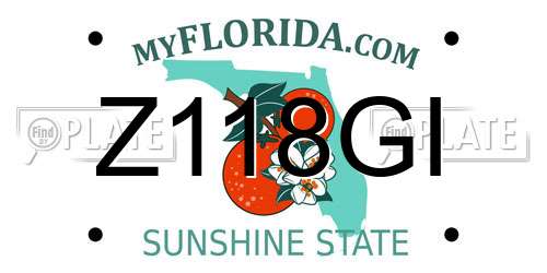 Z118GI Florida License Plate