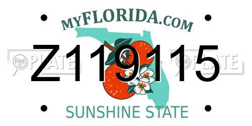 Z119115 Florida License Plate