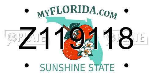 Z119118 Florida License Plate