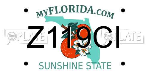Z119CI Florida License Plate