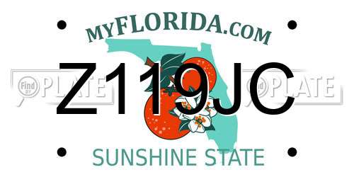 Z119JC Florida License Plate