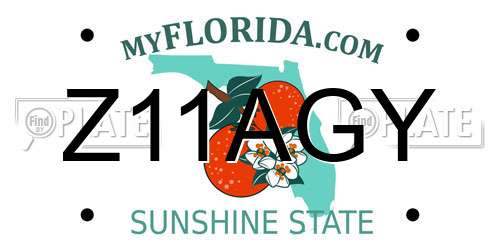 Z11AGY Florida License Plate