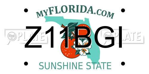 Z11BGI Florida License Plate