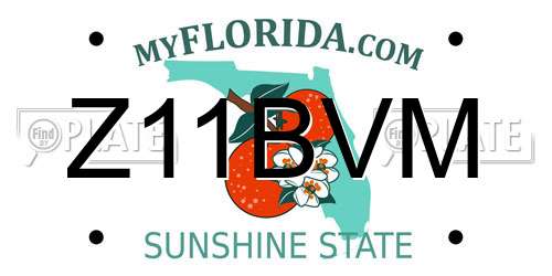 Z11BVM Florida License Plate