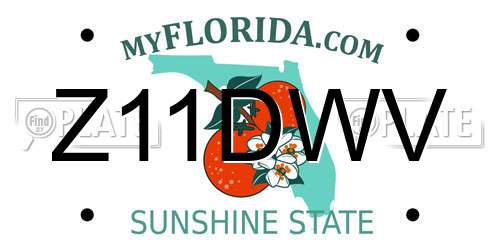 Z11DWV Florida License Plate