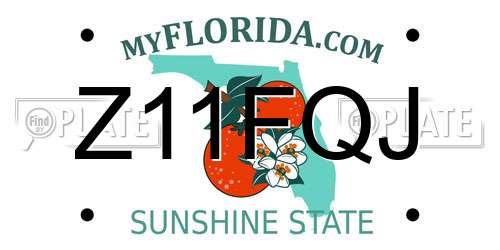 Z11FQJ Florida License Plate