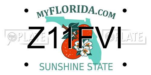 Z11FVI Florida License Plate